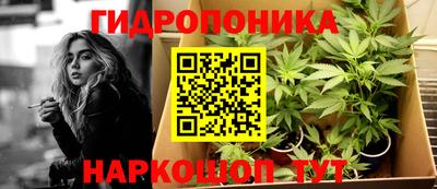 кокс Донской